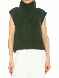 Women Alexia Admor Jaylani Turtleneck Sweater Vest