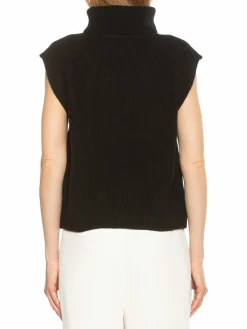 Women Alexia Admor Jaylani Turtleneck Sweater Vest