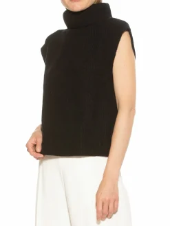 Women Alexia Admor Jaylani Turtleneck Sweater Vest